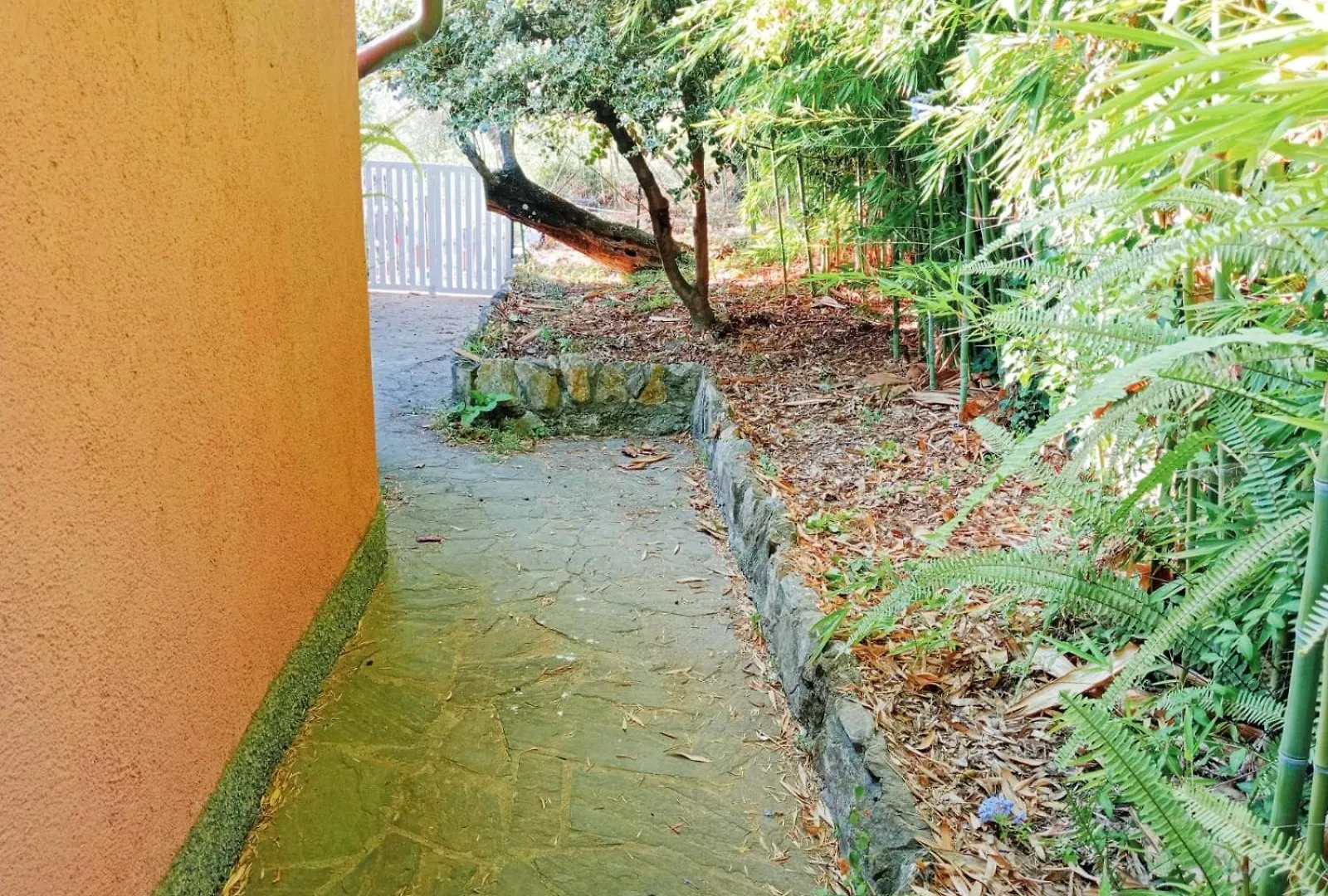 Terrazzo Sul Mare Apartment Camogli