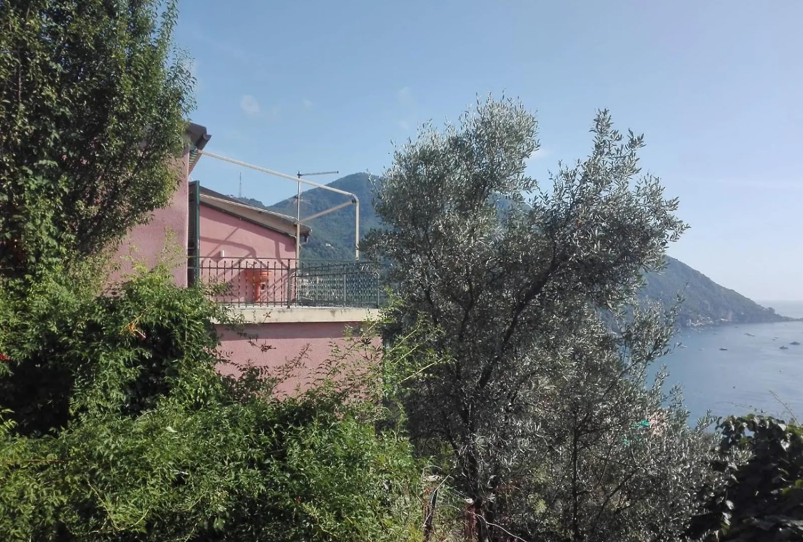 Terrazzo Sul Mare Apartment Camogli 0*,  Italy